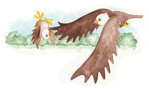 Mother eagle catching falling eaglet